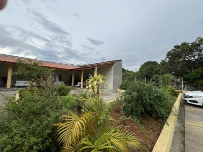 IMG_3335